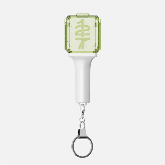 NCT 127 Mini Fanlight Keyring